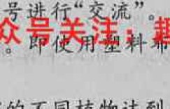 重庆外国语学校 2022-2023 度(上)高2024届11月检测物理答案考卷答案