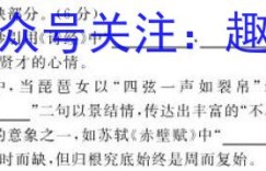 金太阳2023届黑龙江高三模拟考试(23-322C)语文答案 考卷答案