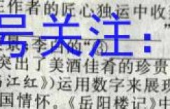2023届贵州省六校联盟高考实用性联考卷(三)3英语答案 考卷答案考卷答案