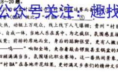 2023届高考桂林、北海市联合模拟考试(2023.5)理综答案考卷答案