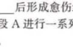 2024年湖南省永州一模 高考第一次模拟考试生物 考卷答案