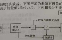 湖南省永州市2024年高考第一次模拟考试生物 考卷答案