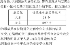 辽宁省重点高中沈阳市郊联体2023-2024学年高二上学期10月月考生物 考卷答案