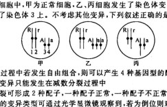 辽宁省2023-2024学年度上学期九年级阶段练习（一）生物 考卷答案