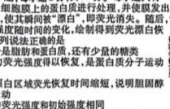2023-2024学年枣庄三中高三年级10月月考生物 考卷答案