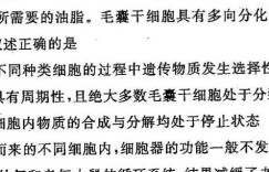 湖南省2024届高三年级上学期期中联考（11月）生物 考卷答案