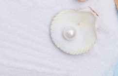 珍珠是蚌壳的什么(珍珠和蚌壳的关系)